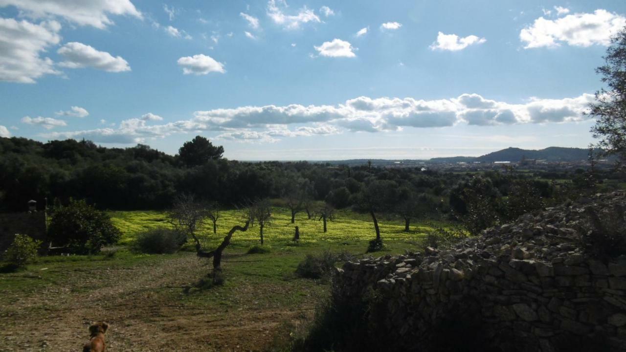 Villa Sa Comella à Porreres Extérieur photo